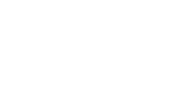 Danmmann